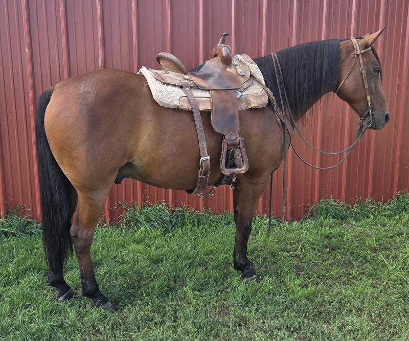Click to enlarge